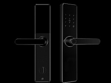 青松沃德-Wi-Fi 指紋鎖家用防盜門智能門鎖密碼鎖刷卡電子鎖 防磁干擾 防撬 L9-WT (不含鎖體，鎖體需另購）